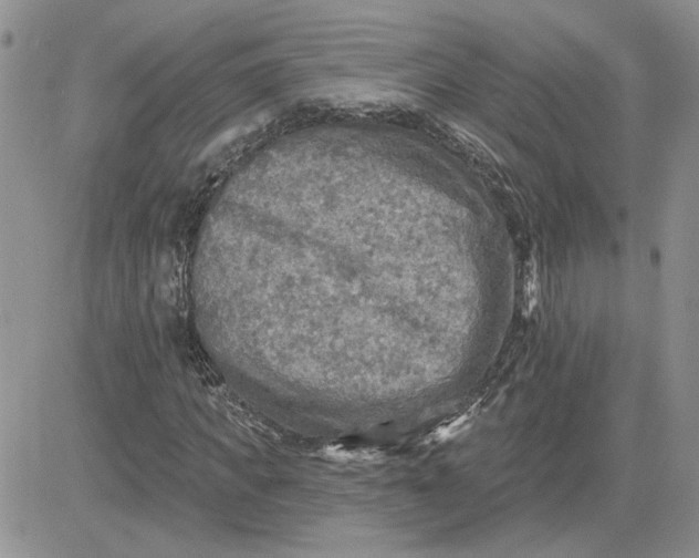 X0000081280917200701251624