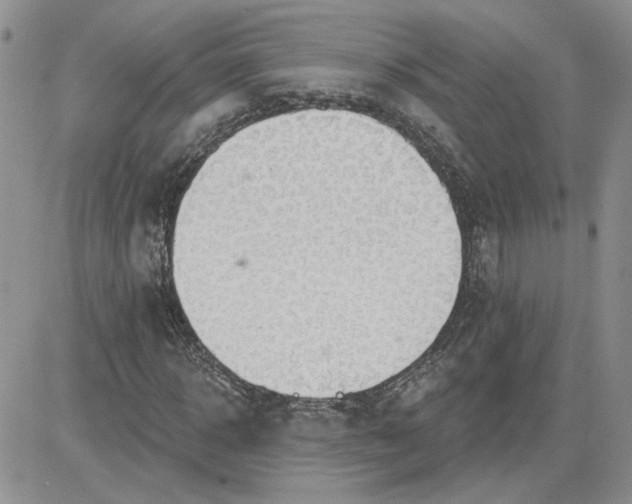 X0000081280918200701251624