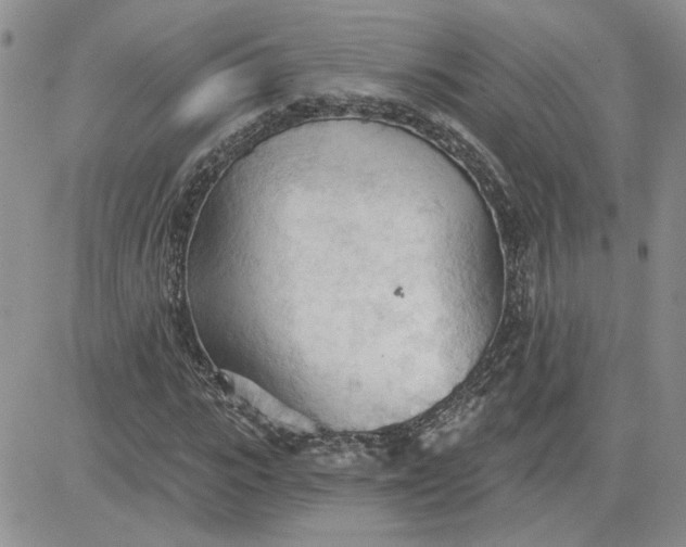 X0000081280919200701251624