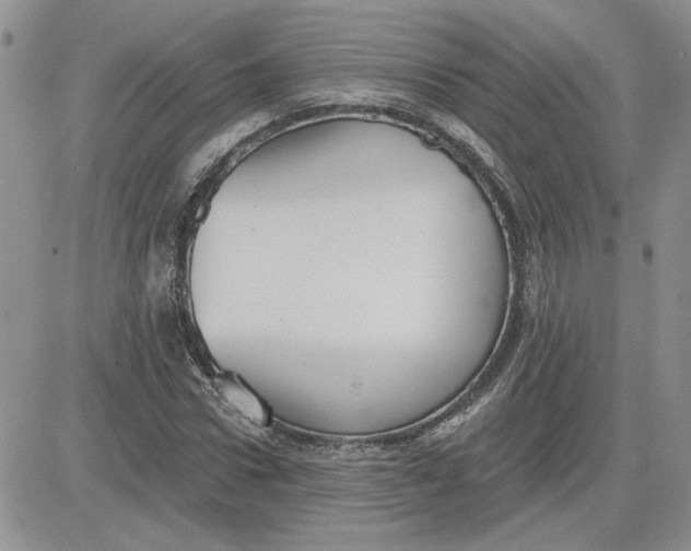 X0000081280922200701251624