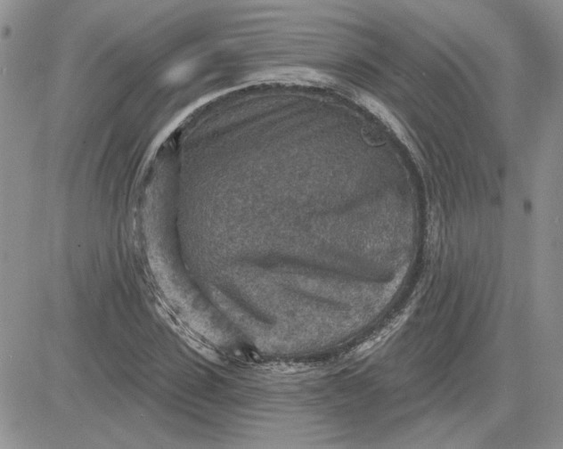 X0000081280923200701251624