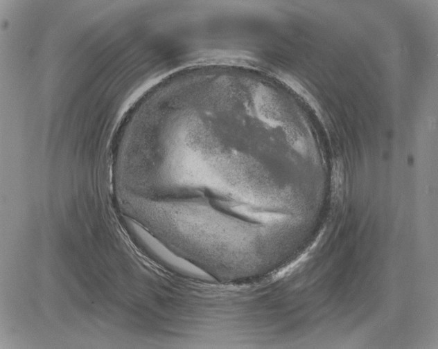 X0000081280925200701251624