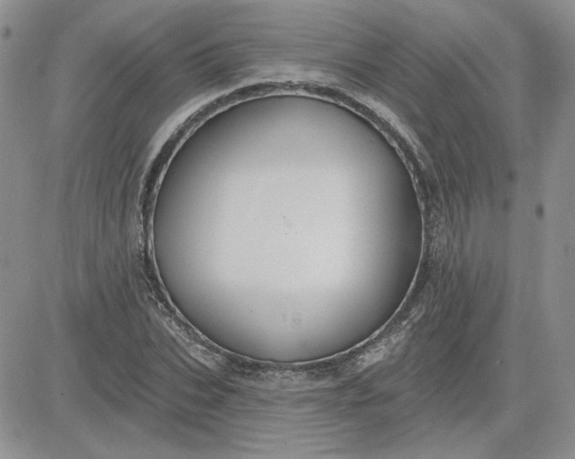 X0000081280927200701251624