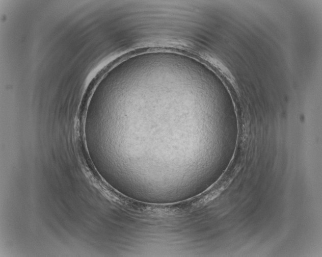 X0000081280928200701251624