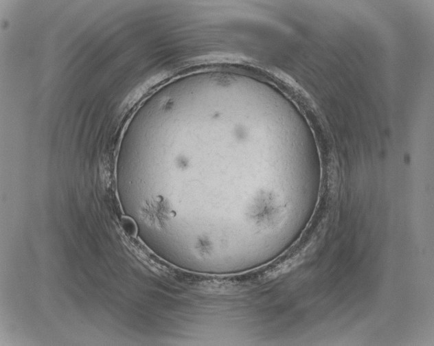 X0000081280929200701251624