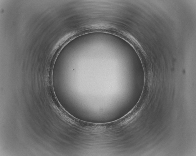 X0000081280930200701251624