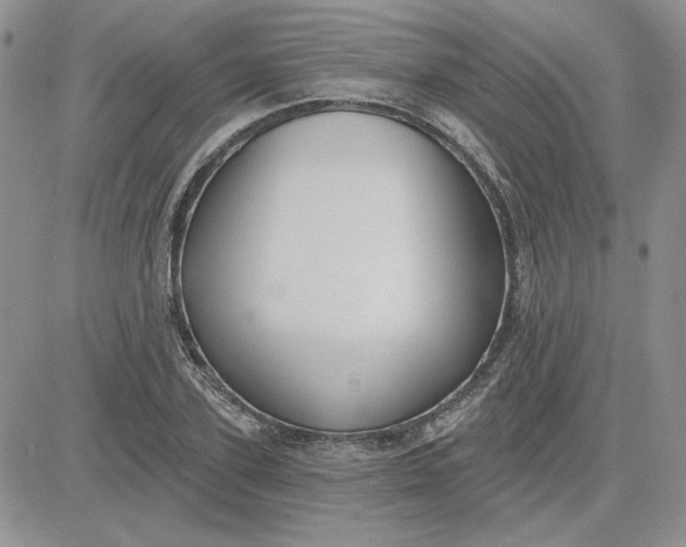 X0000081280931200701251624