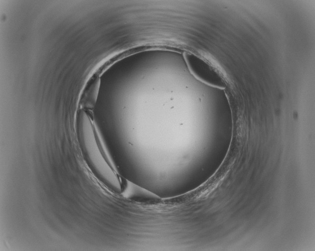 X0000081280932200701251624