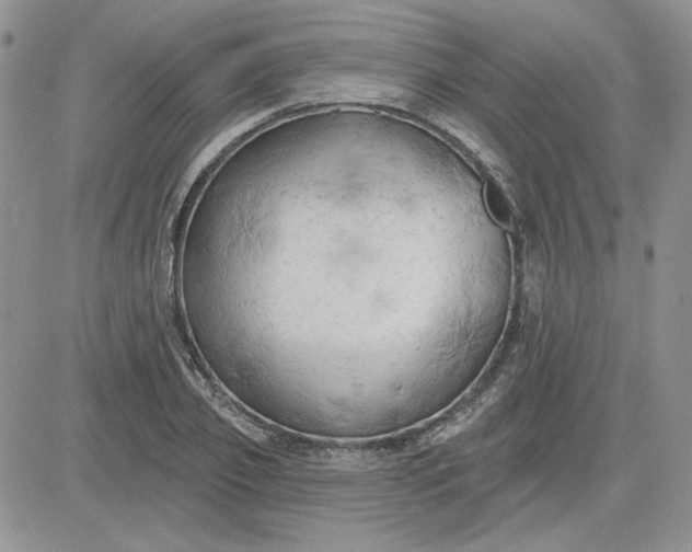 X0000081280933200701251624