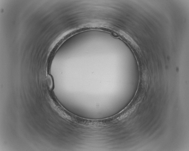 X0000081280934200701251624