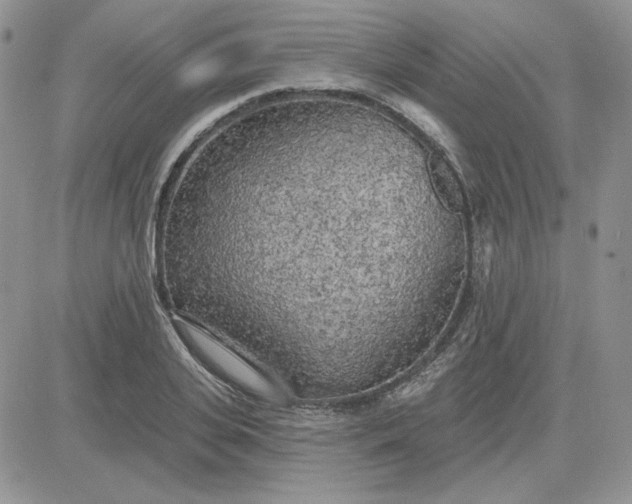 X0000081280935200701251624