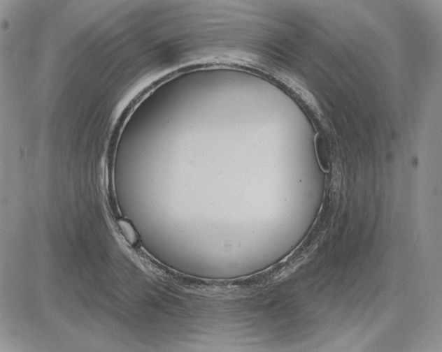 X0000081280936200701251624