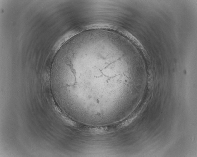 X0000081280937200701251624