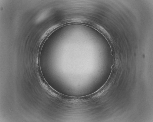 X0000081280938200701251624