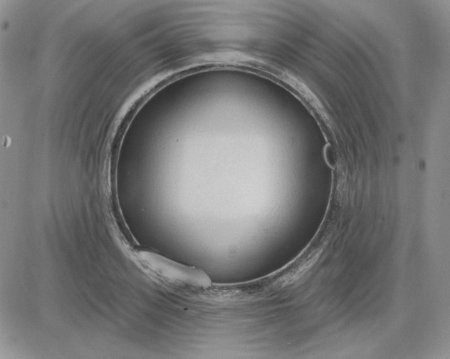 X0000081280939200701251624