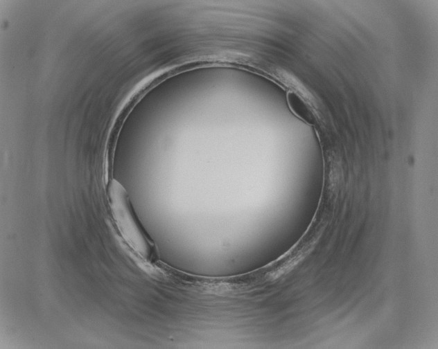 X0000081280940200701251624