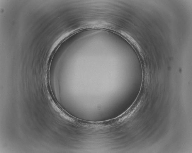 X0000081280941200701251624