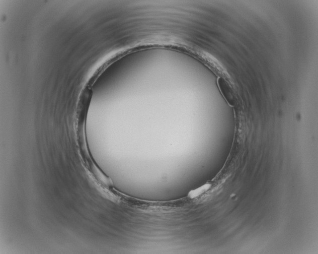 X0000081280942200701251624