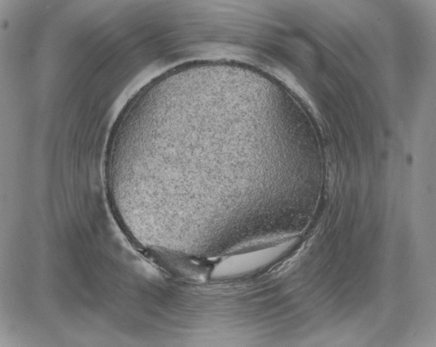 X0000081280943200701251624