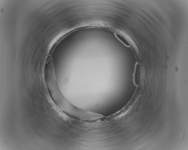 X0000081280944200701251624