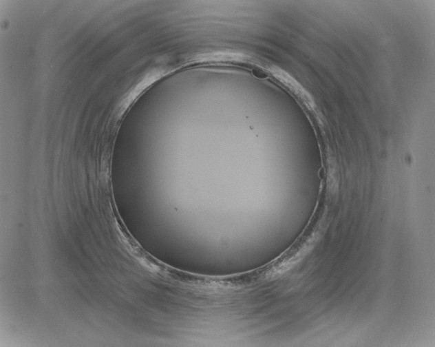 X0000081280945200701251624