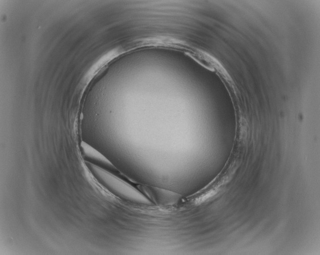 X0000081280946200701251624