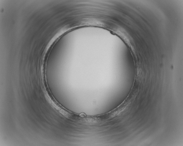 X0000081280947200701251624