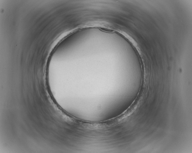 X0000081280949200701251624