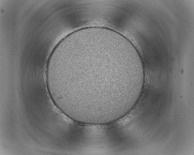 X0000081280950200701251624