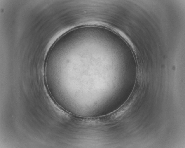 X0000081280951200701251624