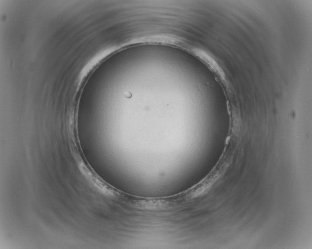 X0000081280952200701251624