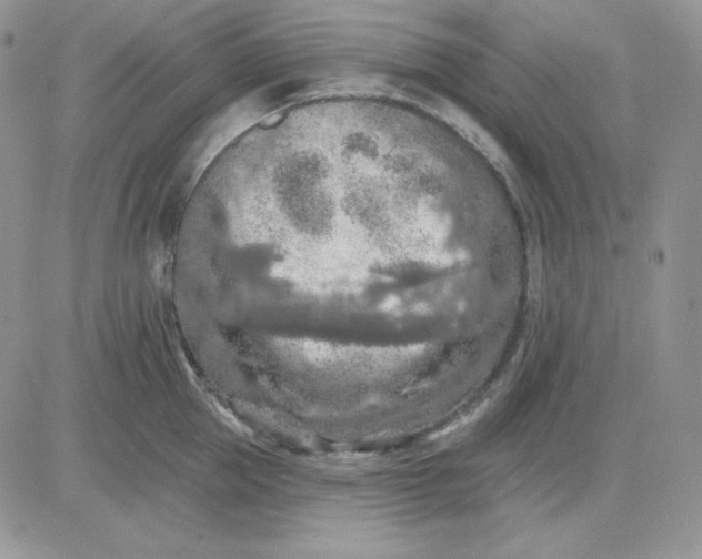 X0000081280953200701251624