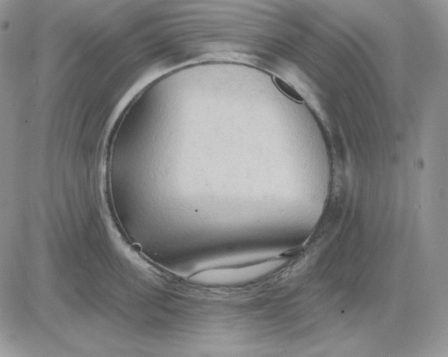 X0000081280955200701251624