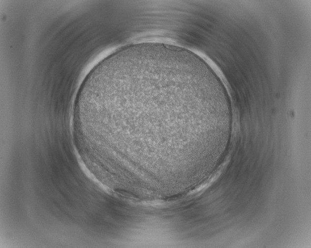 X0000081280957200701251624