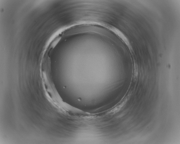 X0000081280958200701251624