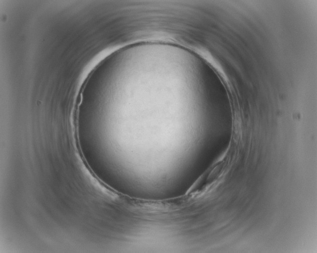 X0000081280959200701251625