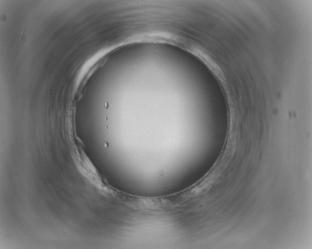 X0000081280960200701251625