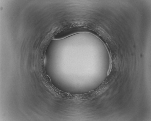 X0000081280961200701251624