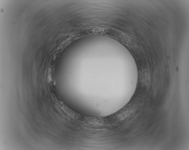 X0000081280962200701251624