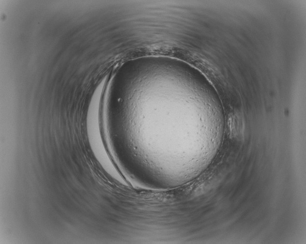 X0000081280963200701251624