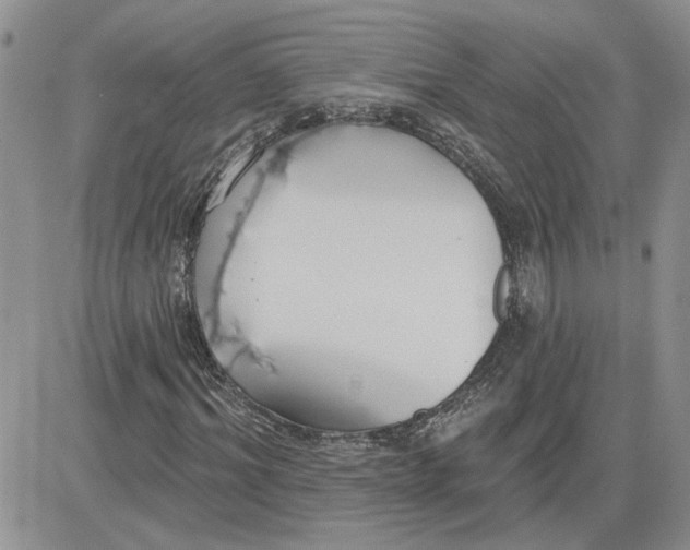 X0000081280964200701251624