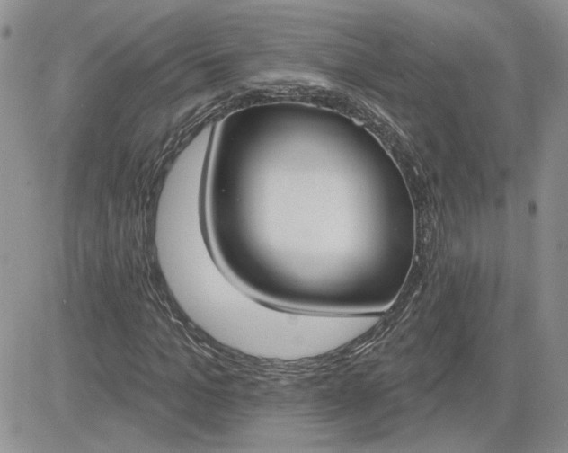 X0000081280965200701251624