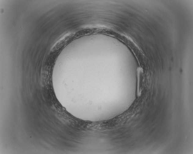 X0000081280967200701251624