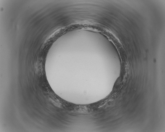 X0000081280968200701251624