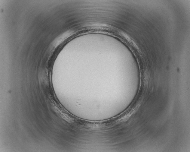 X0000081280970200701251624