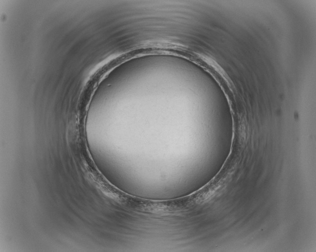 X0000081280971200701251624