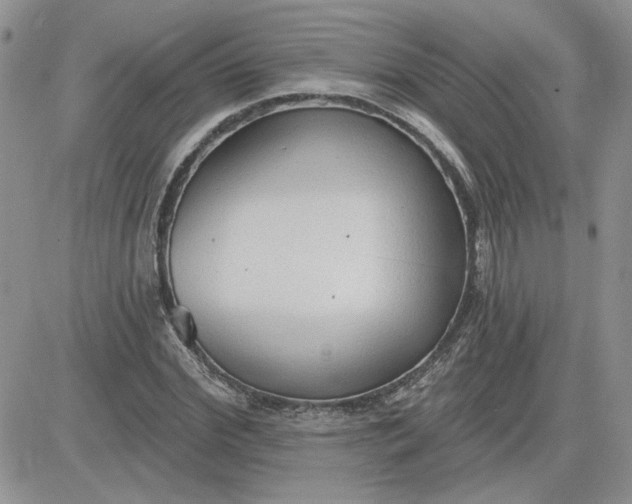 X0000081280972200701251624