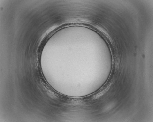 X0000081280974200701251624