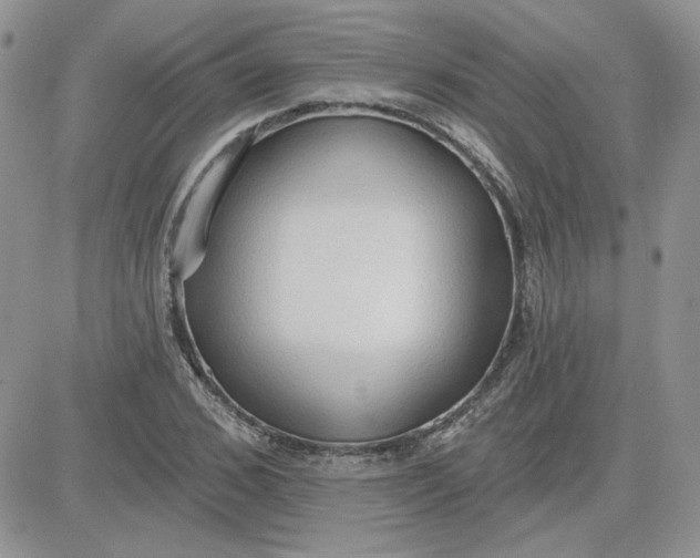 X0000081280976200701251623