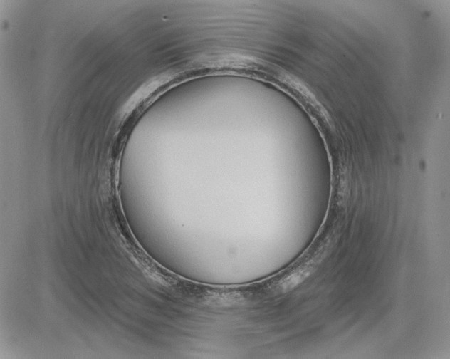 X0000081280978200701251623